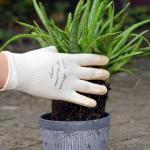 Rostaing - Gants de jardinage Nude - Taille 7-S - MEDIA_EN_SITUATION_1